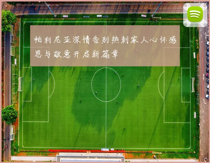 帕利尼亚深情告别热刺家人心怀感恩与敬意开启新篇章