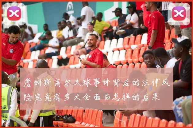詹姆斯高尔夫球事件背后的法律风险究竟有多大会面临怎样的后果