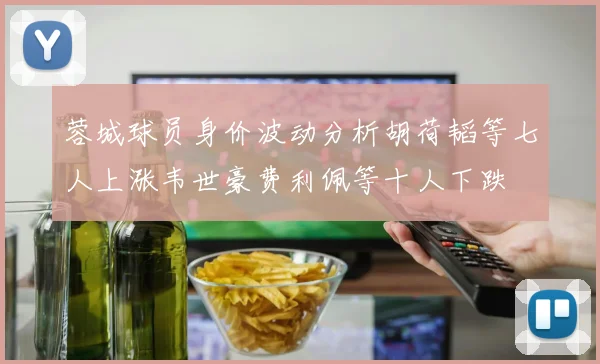 蓉城球员身价波动分析胡荷韬等七人上涨韦世豪费利佩等十人下跌
